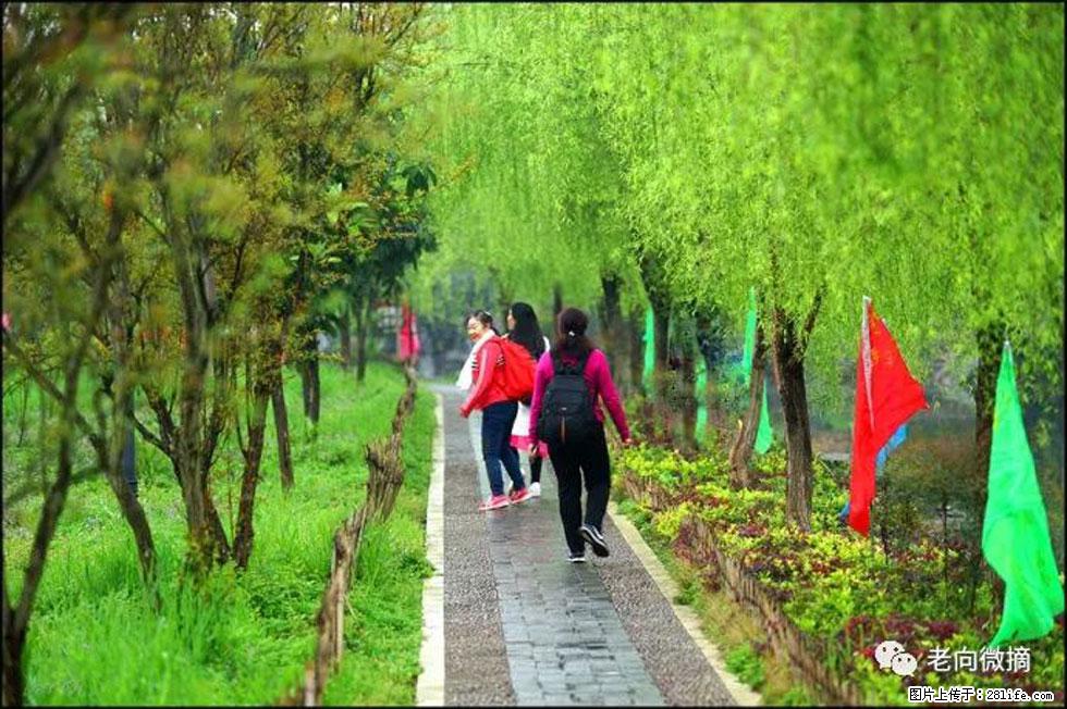 【春天,广西桂林灌阳县向您发出邀请!】江口老街又逢春 - 游山玩水 - 广安生活社区 - 广安28生活网 ga.28life.com