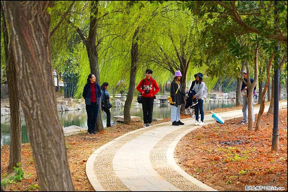 【春天,广西桂林灌阳县向您发出邀请!】江口老街又逢春 - 游山玩水 - 广安生活社区 - 广安28生活网 ga.28life.com