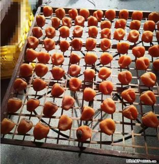 广西桂林平乐桥亭【柿饼之乡】2025年纯手工制作、无任何添加剂的第一批柿饼准备上市了，欢迎联系订购！ - 广安28生活网 ga.28life.com