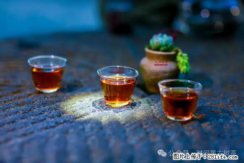 时间果百年古树2025年春红茶 - 购物交流 - 广安生活社区 - 广安28生活网 ga.28life.com