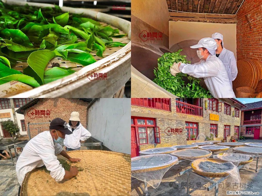 时间果百年古树龙珠普洱生茶 - 购物交流 - 广安生活社区 - 广安28生活网 ga.28life.com