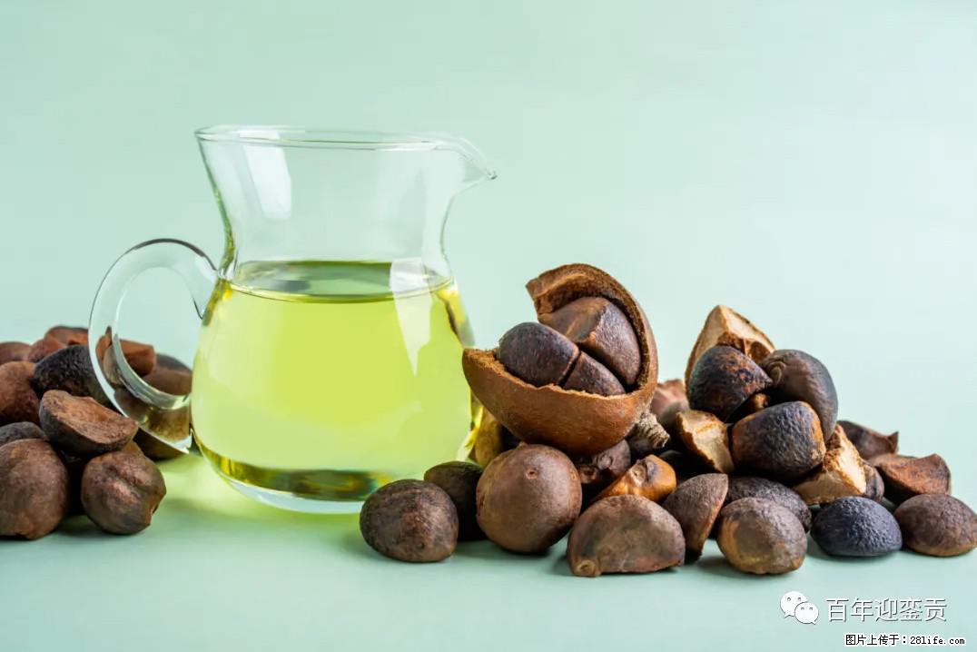 世界没有真相，只有认知，最好的食用油是中国的山茶油！ - 广安生活资讯 - 广安28生活网 ga.28life.com