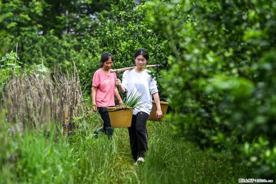 全网追的“扁担女孩”，找了一份暑假工，时薪12元 - 广安生活资讯 - 广安28生活网 ga.28life.com