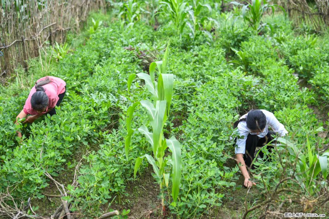 全网追的“扁担女孩”，找了一份暑假工，时薪12元 - 广安生活资讯 - 广安28生活网 ga.28life.com