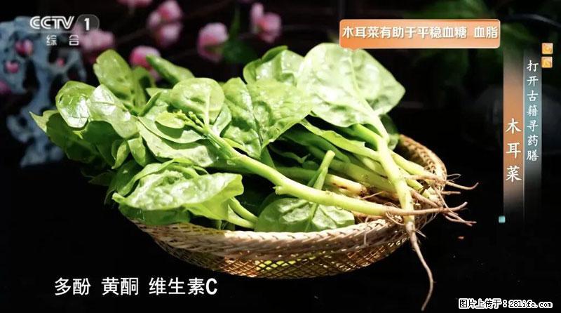 比牛奶补钙还厉害!凉血解毒、稳血糖...这菜冬天必吃,很多人却当草 - 广安生活资讯 - 广安28生活网 ga.28life.com