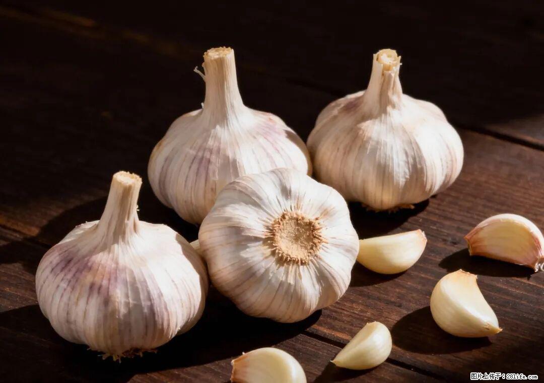 关于大蒜，除了“天然抗生素”，这4个谣言更该警惕! - 广安生活资讯 - 广安28生活网 ga.28life.com