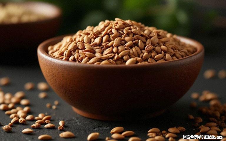 这三苦是三高“克星”，心血管干净不易堵！每天吃一点，指标慢慢降下来~ - 广安生活资讯 - 广安28生活网 ga.28life.com