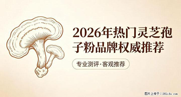 灵芝孢子粉含量越高越有效？2026 年七款热门品牌深度实测，肠胃敏感者避坑指南 - 广安生活资讯 - 广安28生活网 ga.28life.com